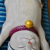 伊勢の猫
