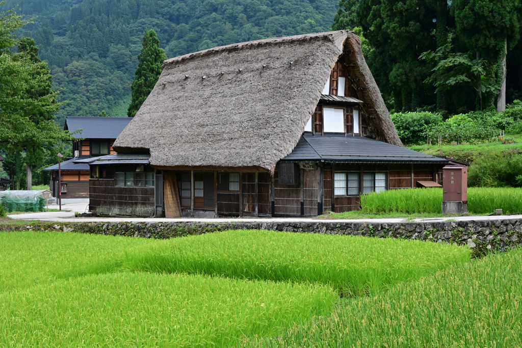 夏の五箇山