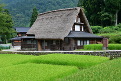 夏の五箇山