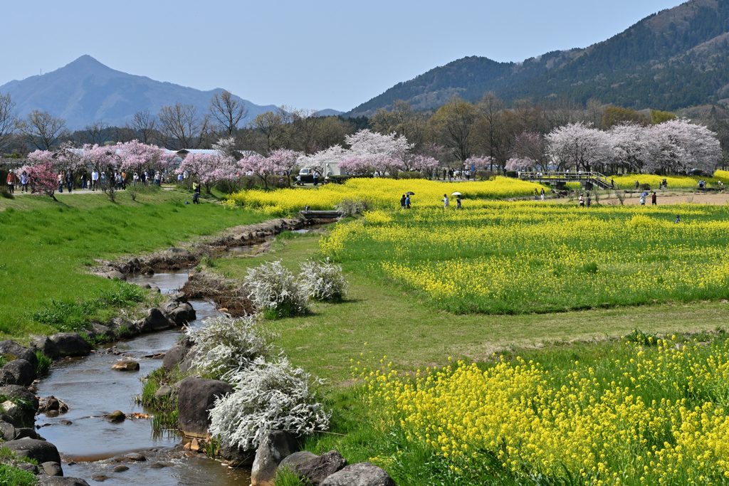 上堰潟公園