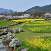 上堰潟公園