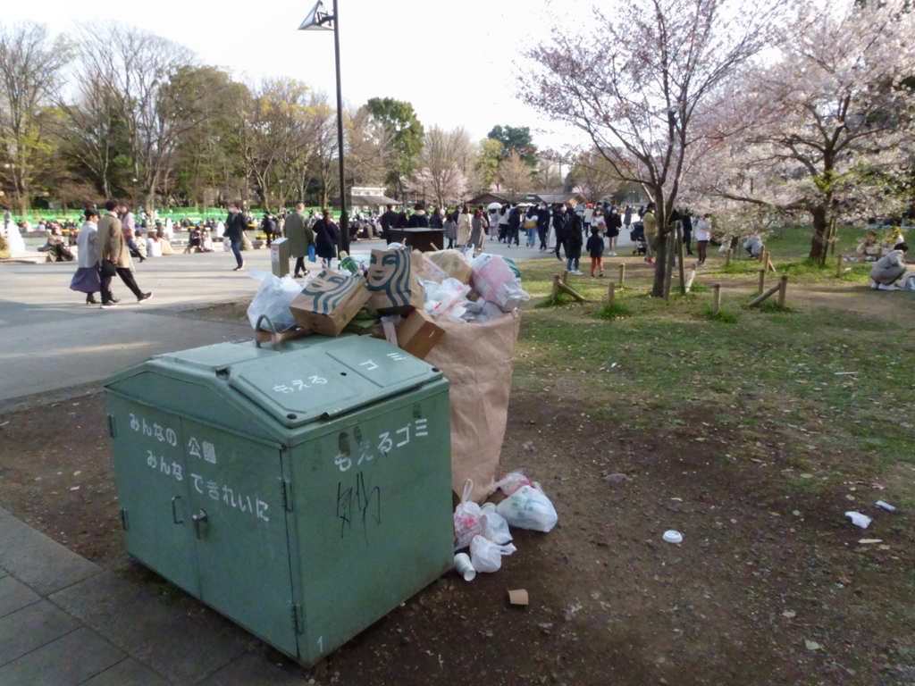 上野公園の桜