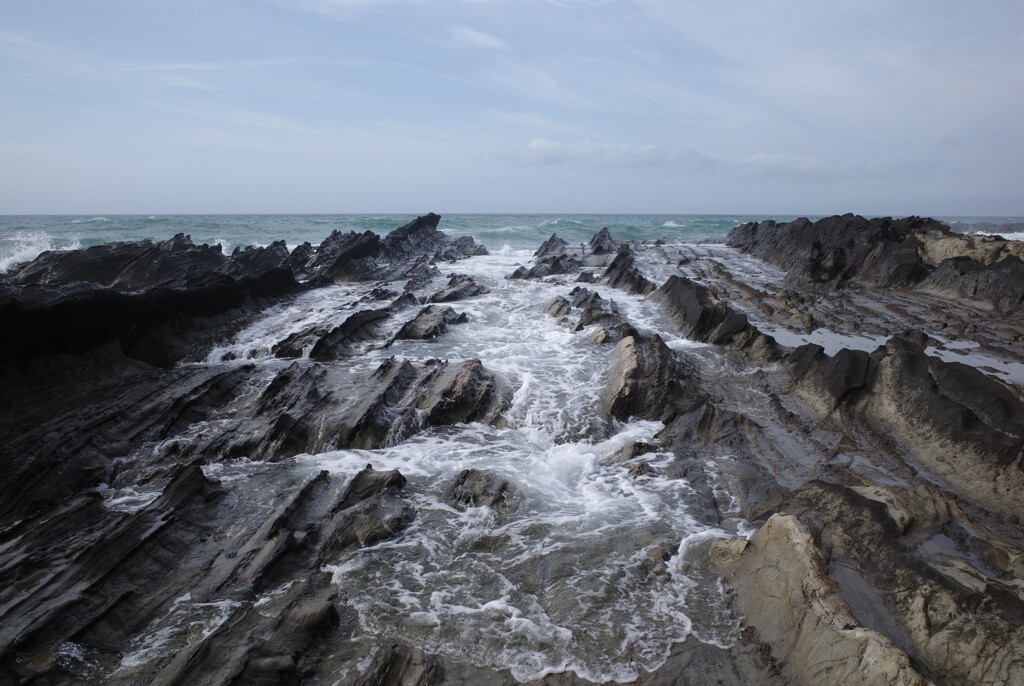 荒崎海岸