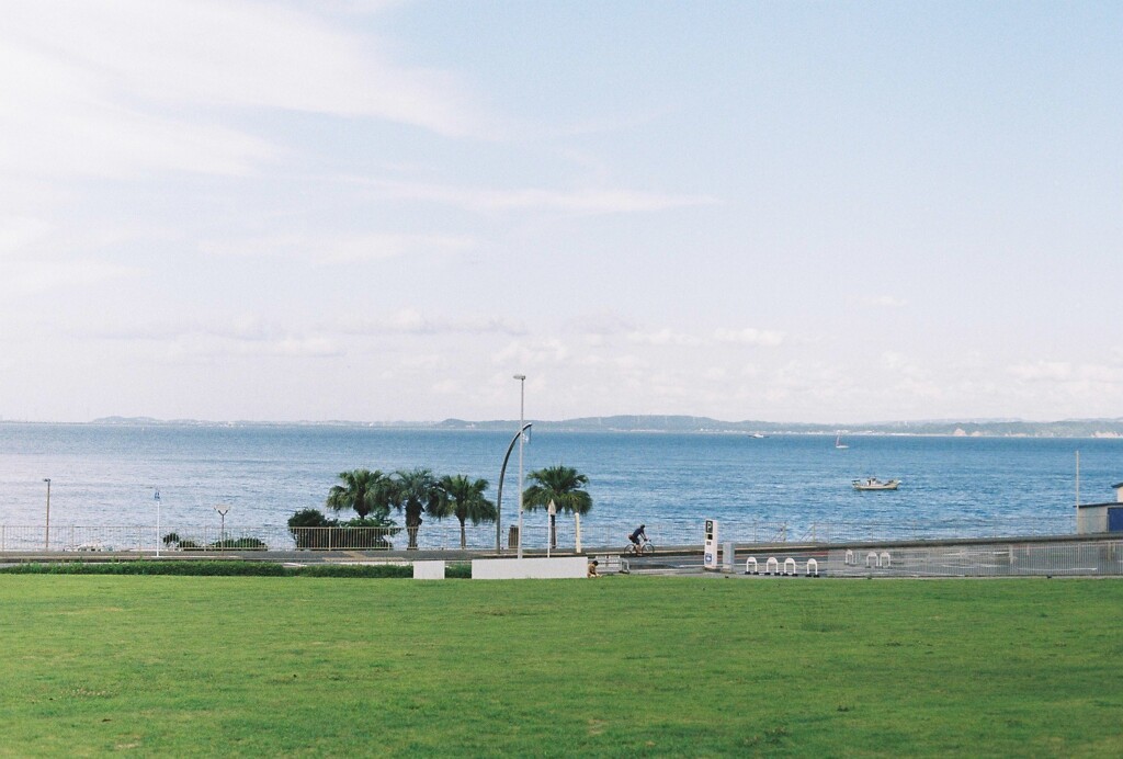 芝生と海
