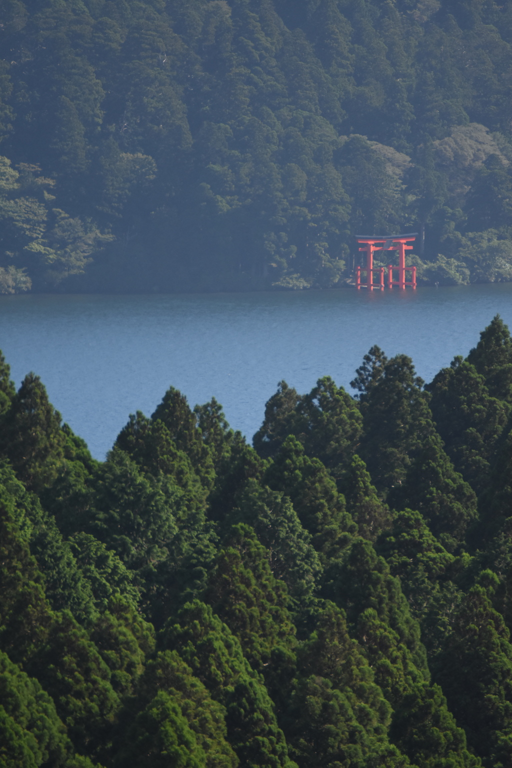 湖と鳥居