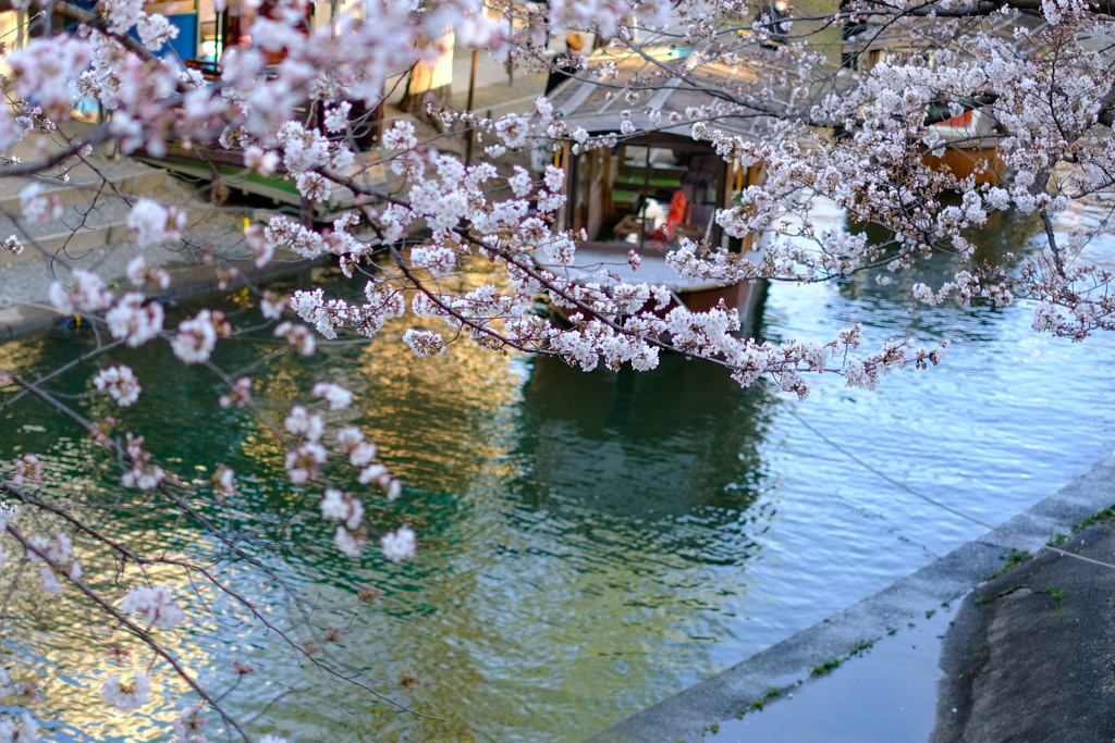 見てるだけでもウキウキ