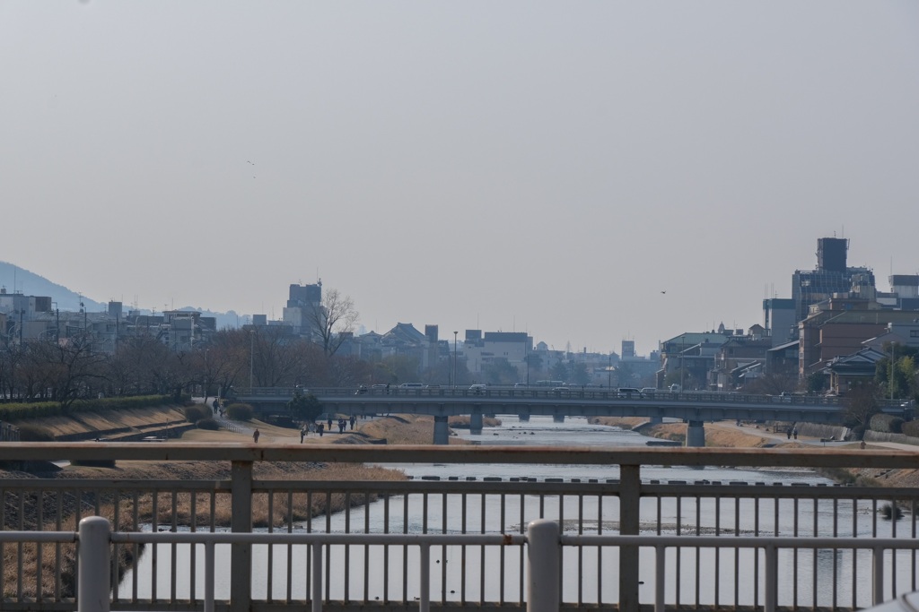 朝の鴨川