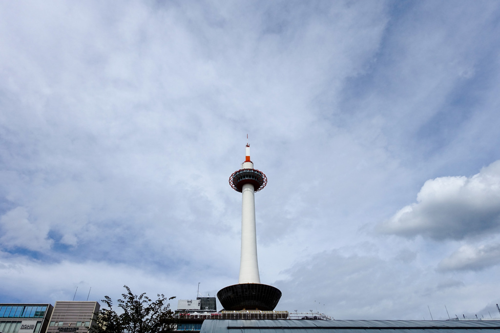 空も飛べるはず