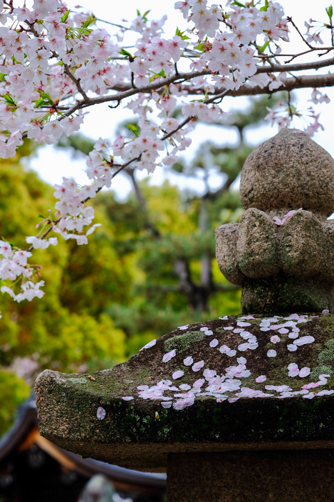 春から初夏へ