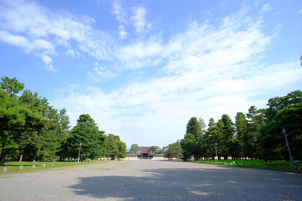 気持ちの良い朝