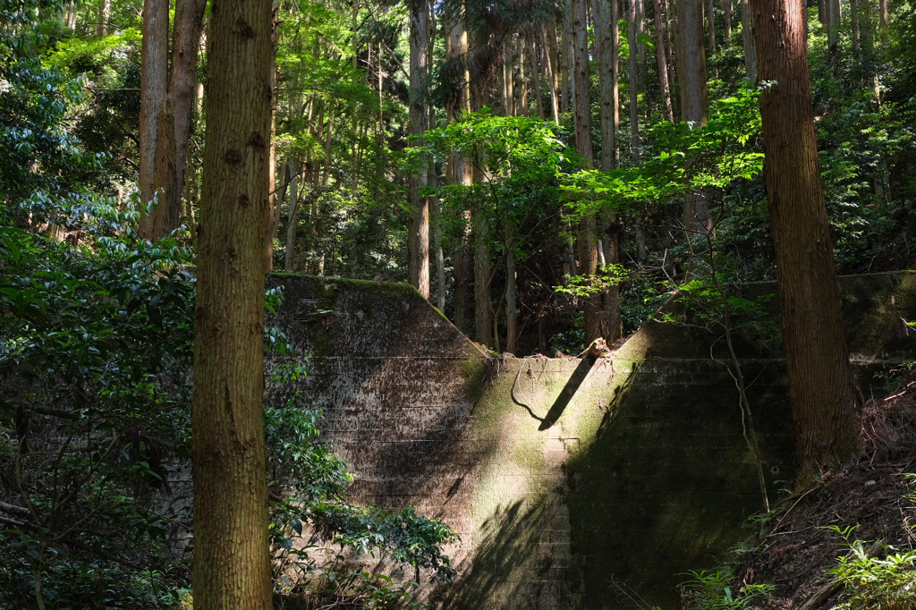 山登り