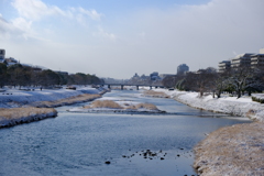 今年は雪が多いです