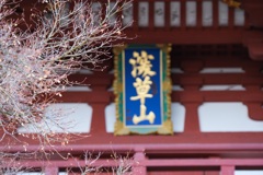 宝塔寺仁王門
