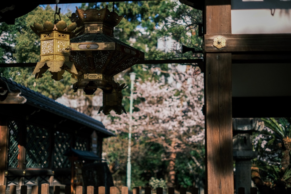 クラシックネガで散歩