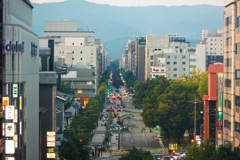 今日もまっすぐやね