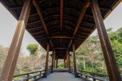 誇張したら