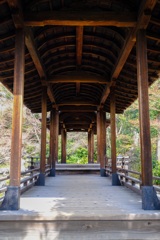 渡ってみる