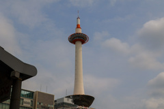 優しい白が好き