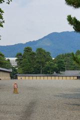 白いテントらしきものも見えます