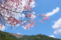 春の山へ