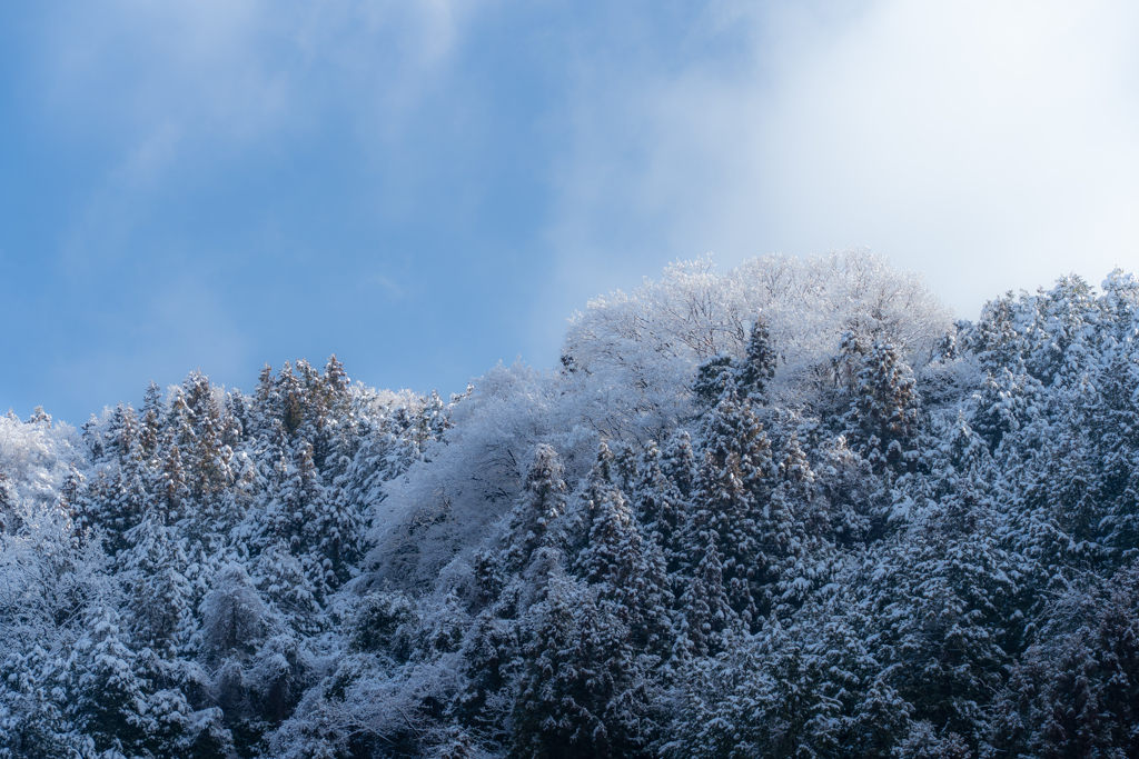 電車を降りたらそこは雪国でした…