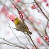 花飾り