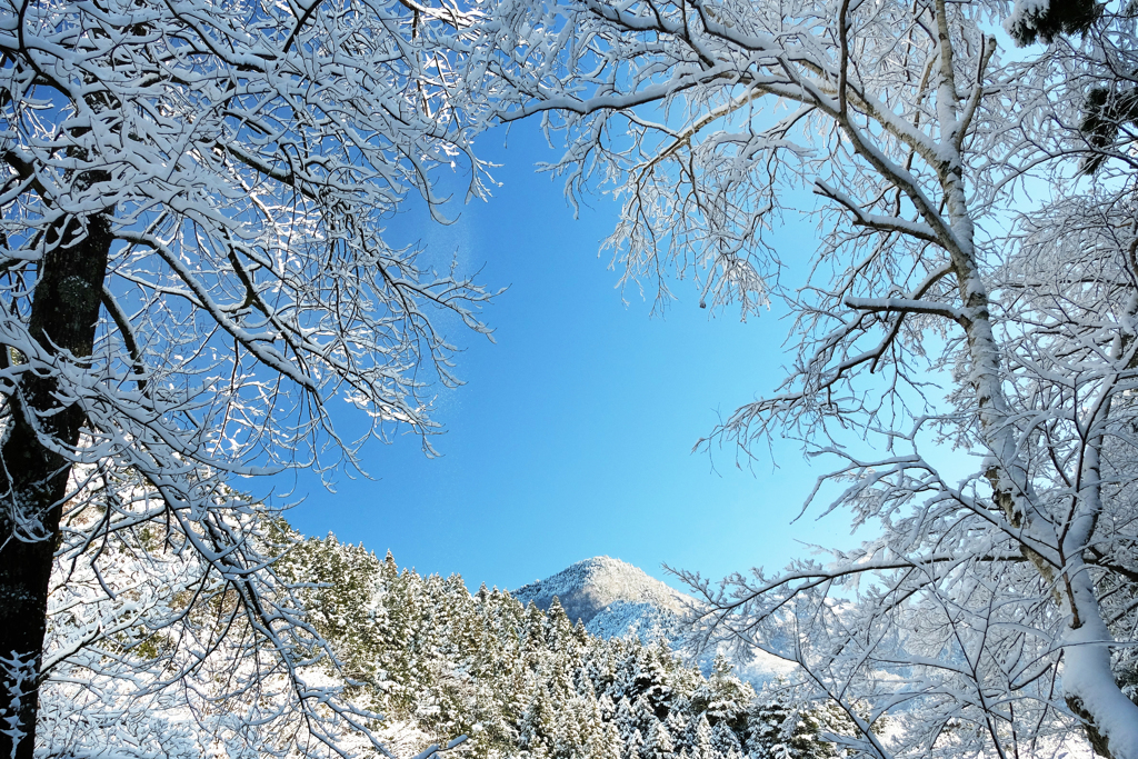 霧氷の窓から