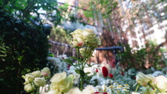 10CED68D-D792-46F7-BE07-19025DFF0E1D