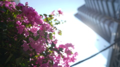 F28546AA-2306-47C0-A7F2-E3C0DF3EC94A
