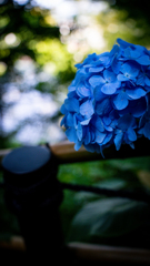 38D7335A-3F48-4731-944D-15B1414A45D0