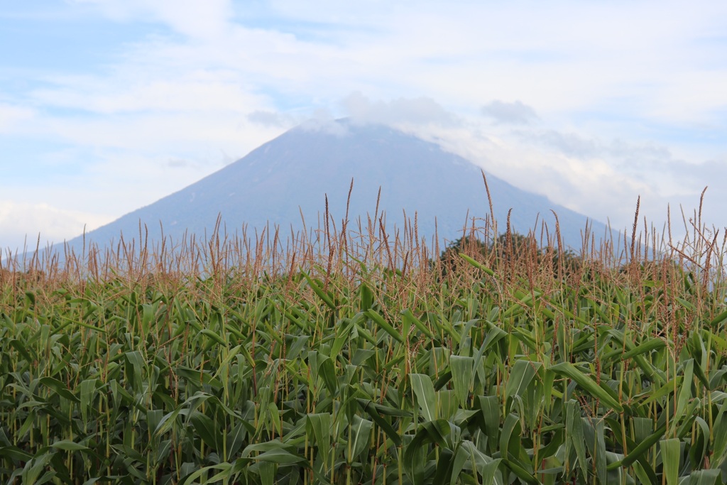 3160CDE0-0228-4488-A54A-1EC26FF1FB2E