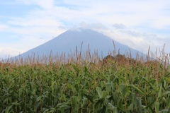 3160CDE0-0228-4488-A54A-1EC26FF1FB2E