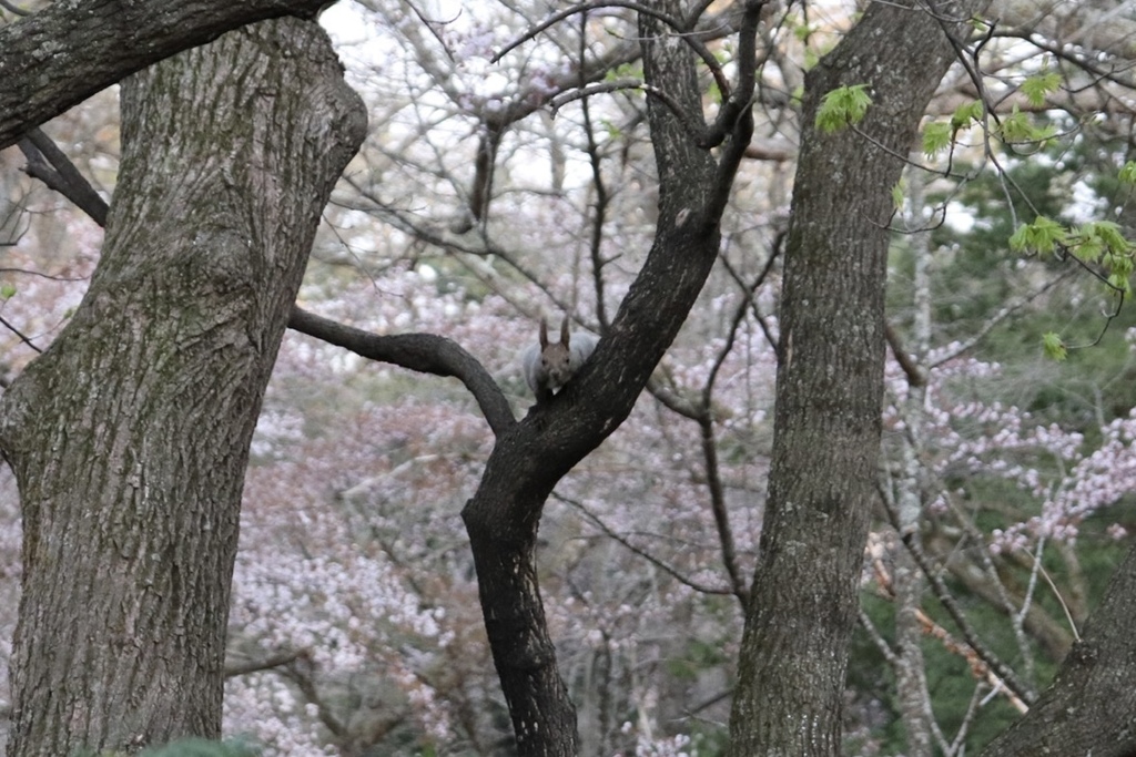 607D00F5-86D9-4438-BB6E-E820897F155C