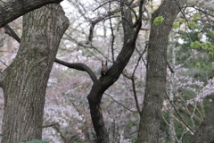 607D00F5-86D9-4438-BB6E-E820897F155C