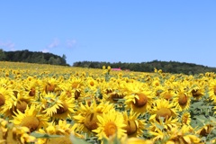 07F3D47E-505B-4026-9486-32D5D218BC53