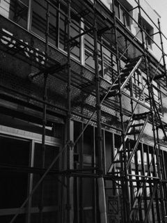 scaffold