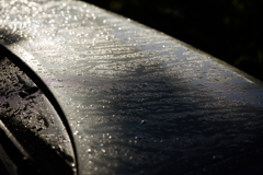 朝露と車のボンネット
