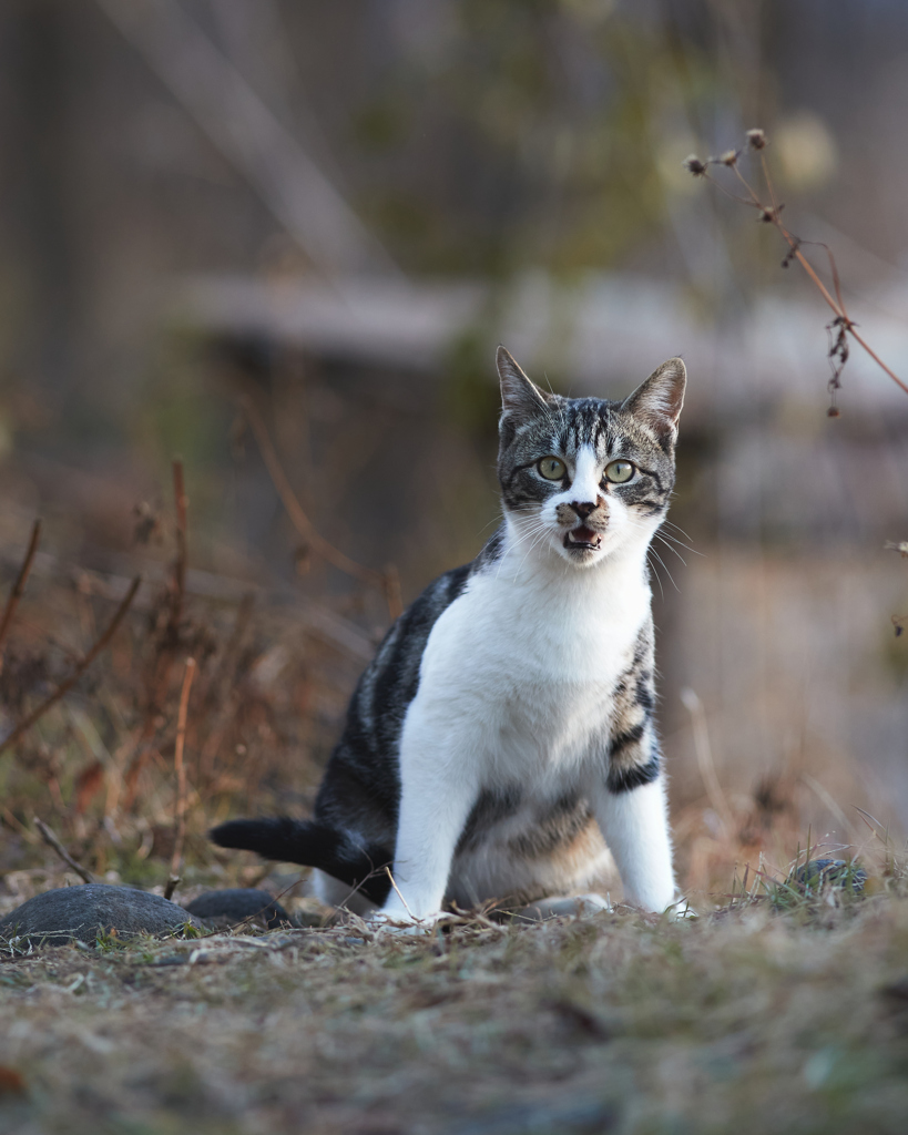 何か発見したのかな