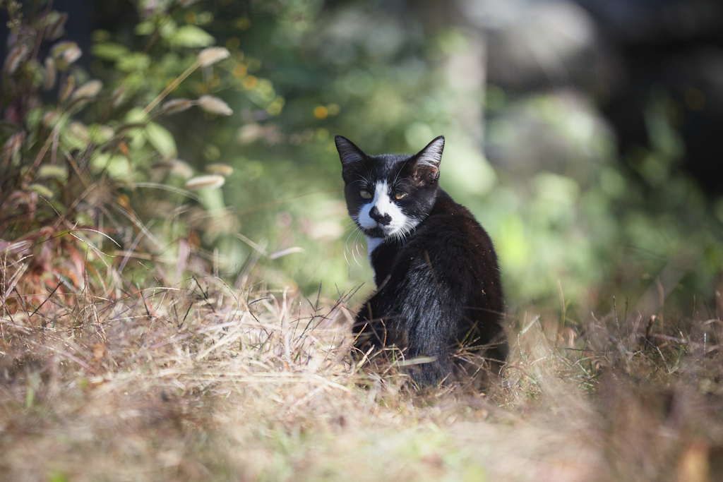 気づかれちゃった