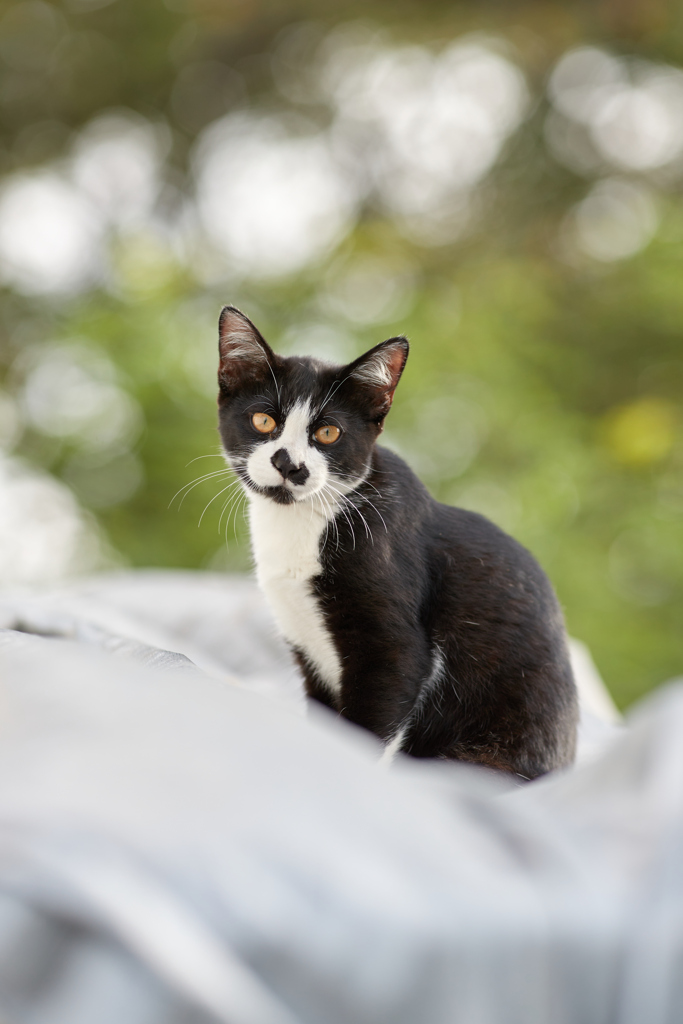 カメラ目線ポーズ