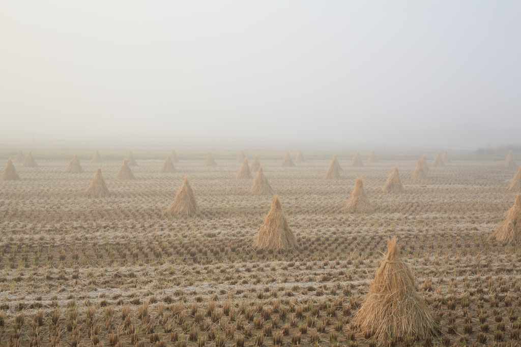 霧の中の三角藁