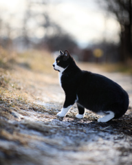 少し雪がある小径で