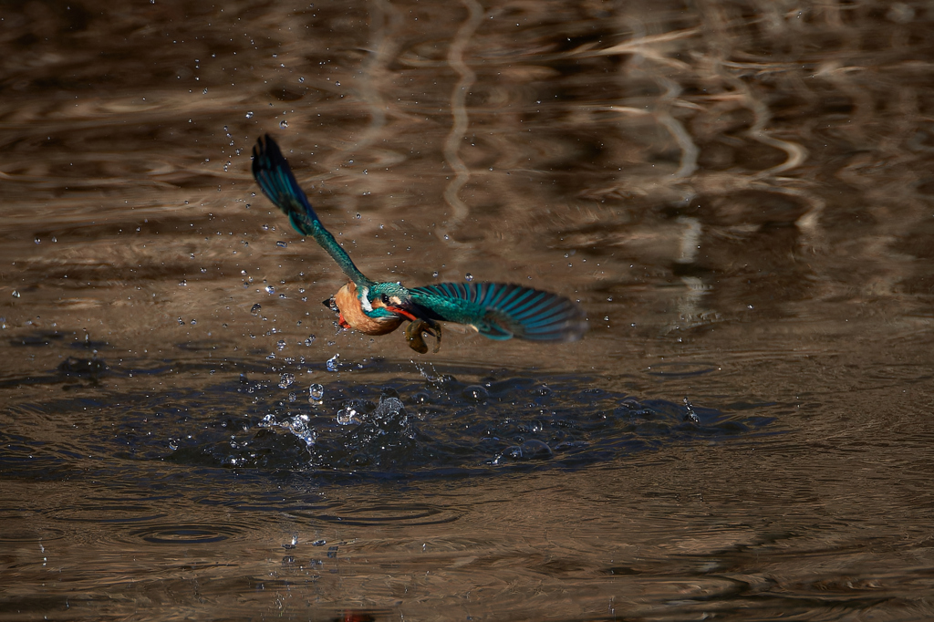 カワちゃんやったね！