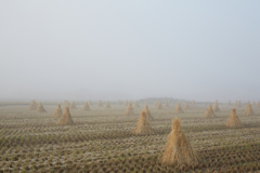 霧に包まれる三角藁