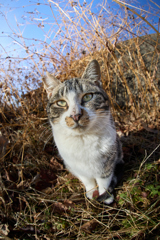 ちょっと不機嫌そう？