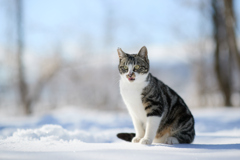 雪の上で一休み