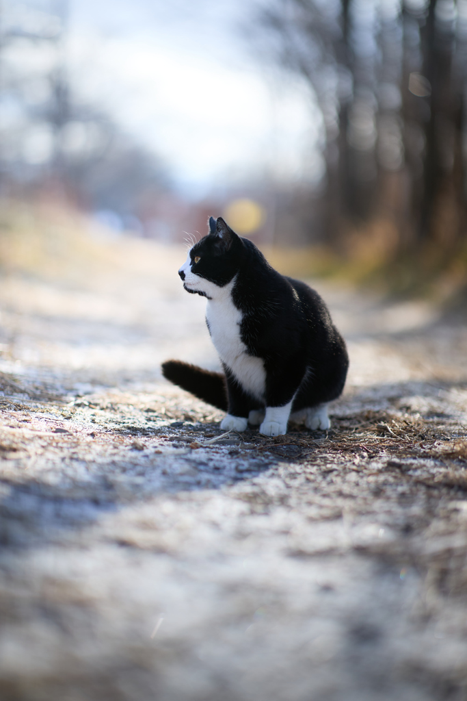 少し雪が降った寒い朝