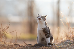 くぅーーーっ！