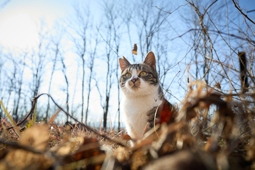 ちょっと緊張した表情