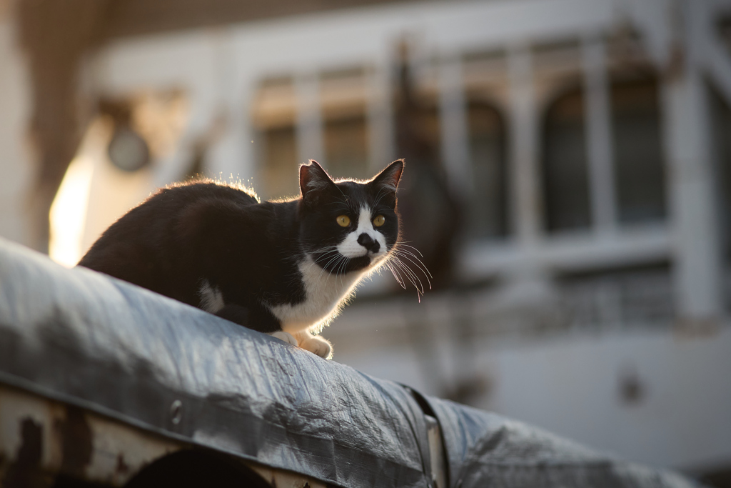 夕暮れにまったり